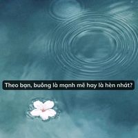 nhạc nền - nỗi buồn của biển