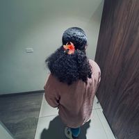 _serra.fj