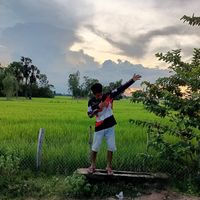 bromm60