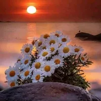 original sound - ___esmerim