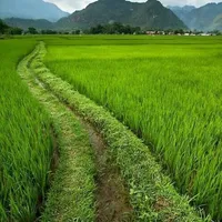 original sound - konbaanban