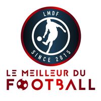 lemeilleuredufootball0