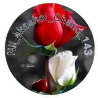 original sound - nil_akasher_chand_143