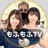 オリジナル楽曲 - もふもふテレビ【公式】🐈‍⬛🤍🖤