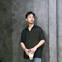1995np