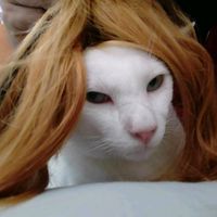 paicatlove....196