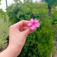 sky_angle_251