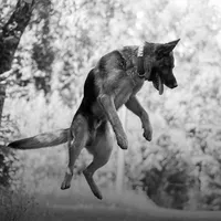 original sound - almaz_chepyxa228