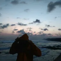 original sound - tradefxpemula