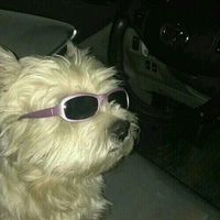 오리지널 사운드 - ᖰ( =̴̤̆◡̶͂=̴̤̆ )ᖳ
