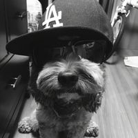 original sound - kioro