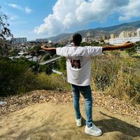 jarvinpr13