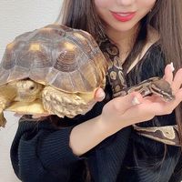 2525haru_