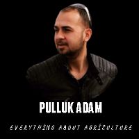 pullukadam