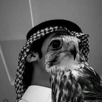 الصوت الأصلي