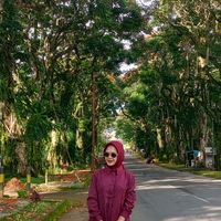 suara asli - selci