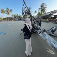 safriati8