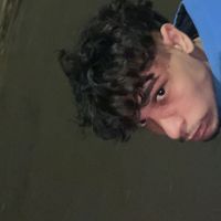 vieira.lyz6