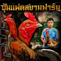 samaiwongshana