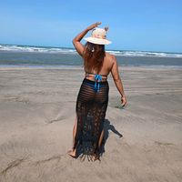 dalianesilva877