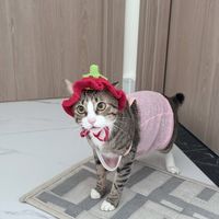 nhạc nền - Eri ツ