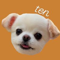 tentaru94pu__