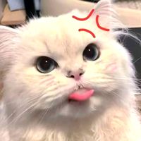 original sound - 🖤ဘဲပစ်မ🖤