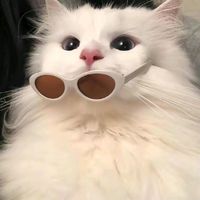 original sound - 雪枫.