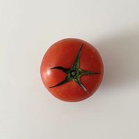 nhạc nền - Lyna☁️