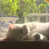 original sound - a_uce