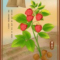 原创音乐