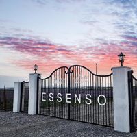 essenso.az