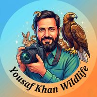 yousafkhanwildlife