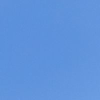 ナキムシリピート