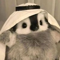 original sound - Ollqslvr