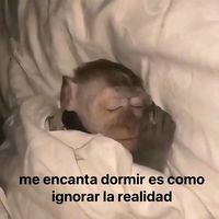 songsentimientos