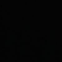 lizachkaa_pranchia