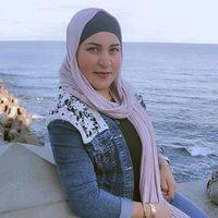 amlbara2