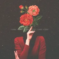 original sound - f2050z