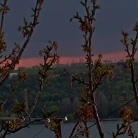 оригинальный звук