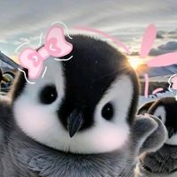 nonaa_hn_1852