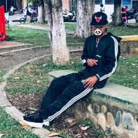 si no le contesto. planb