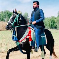 faisalgujjar1171