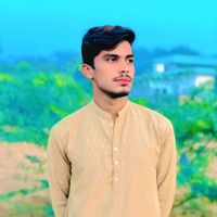 naveedbhinder804