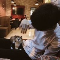 original sound - Mornn