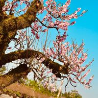 beauty..health