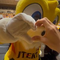 volleyball_131424