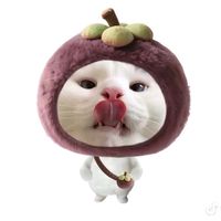 original sound - kimh6079