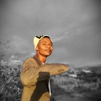 willy_591