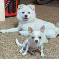 original sound - khaitomnomsod